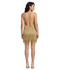 Women Deep V-Neck Dress | Spaghetti Strap | Fringe Bodycon Mini Dress | Tassels | Backless