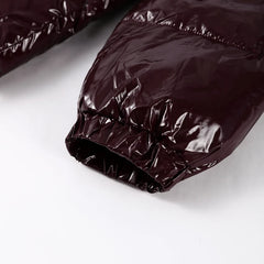 Women Glossy Zipper Hooded Jacket | Windbreaker | Pleated | Short Jacket | Cotton