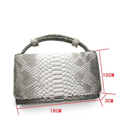 Women Snake Skin Clutch | Crossbody Chain Handbag
